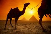 Вернется ли отдых в Египте в этом году на российский рынок